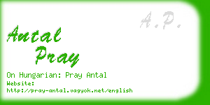 antal pray business card